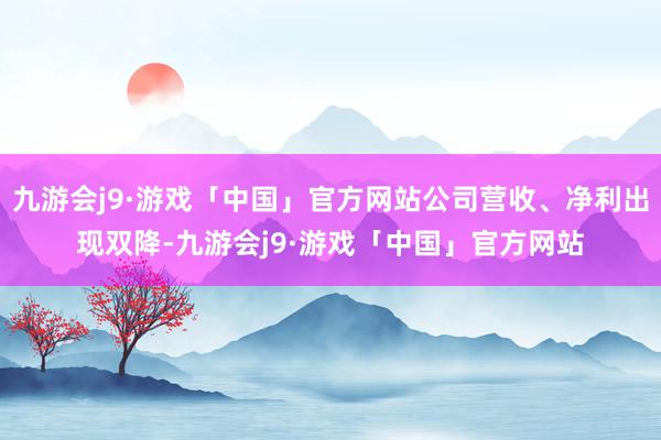 九游会j9·游戏「中国」官方网站公司营收、净利出现双降-九游会j9·游戏「中国」官方网站