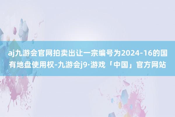 aj九游会官网拍卖出让一宗编号为2024-16的国有地盘使用权-九游会j9·游戏「中国」官方网站