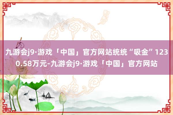 九游会j9·游戏「中国」官方网站统统“吸金”1230.58万元-九游会j9·游戏「中国」官方网站