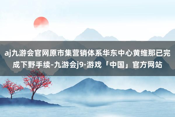 aj九游会官网原市集营销体系华东中心黄维那已完成下野手续-九游会j9·游戏「中国」官方网站